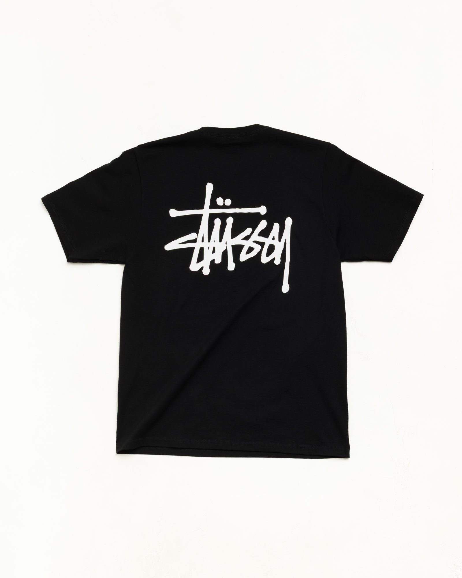 BASIC STÜSSY TEE back view
